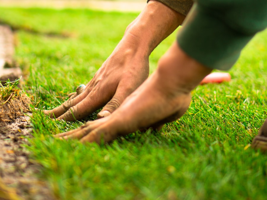 Turf and landscaping